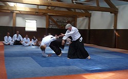 2008/06/28 - Fête du club Aïkido