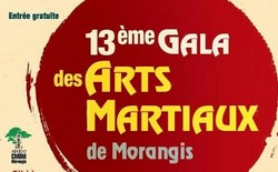 2015/01/31 Gala des arts martiaux de Morangis